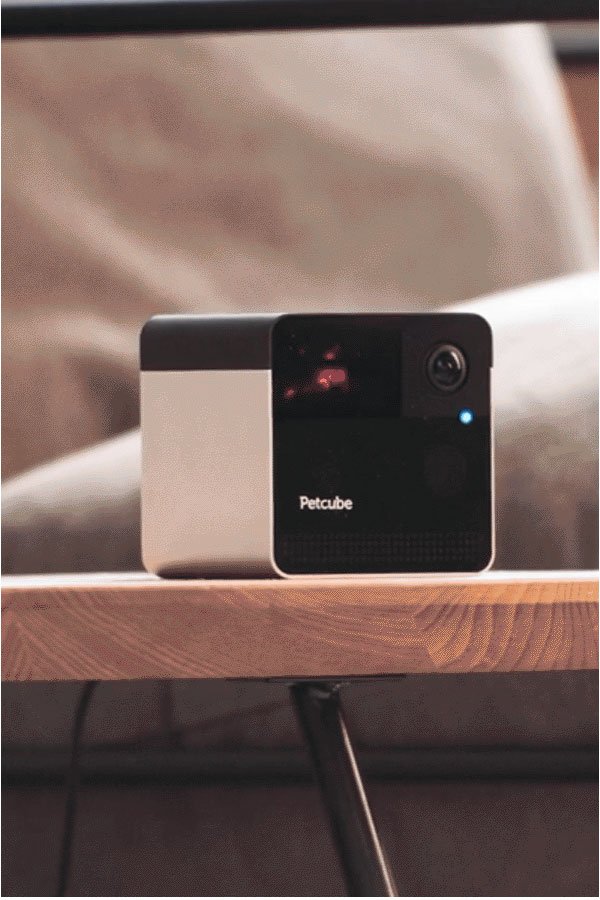 Petcube Play 2 review