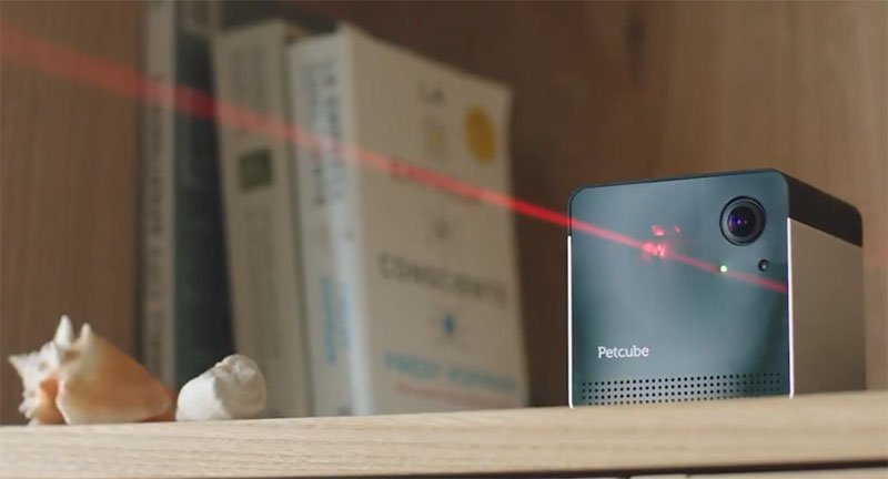 Petcube Play smart pet camera