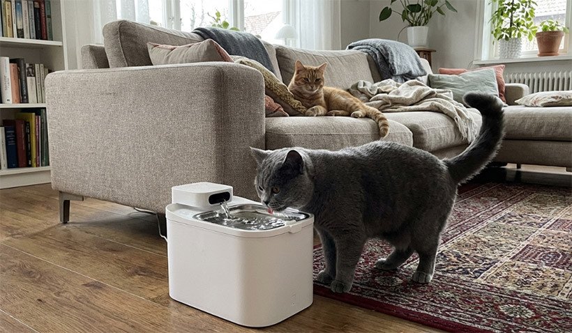 Petkit EverSweet Pet Water Fountain review