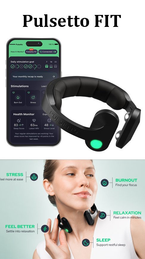 Pulsetto FIT Review